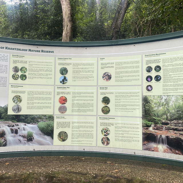 Beautiful hike with waterfalls 