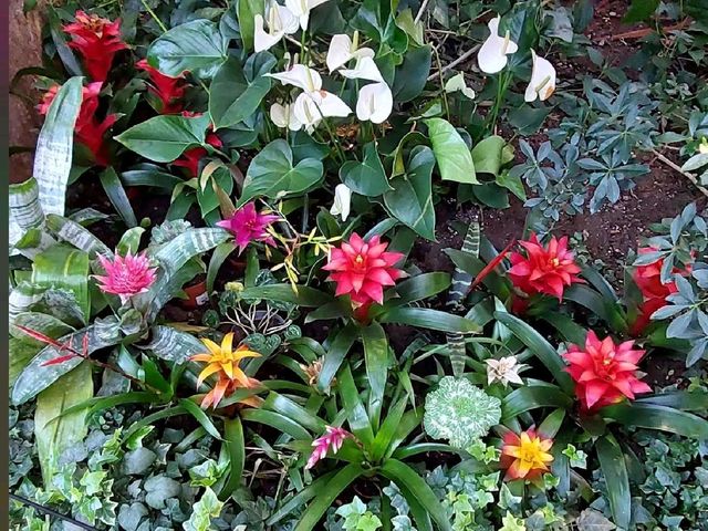 Winter Garden in Sheffield 