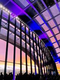 London’s Sky Garden: The Best Free View of the City