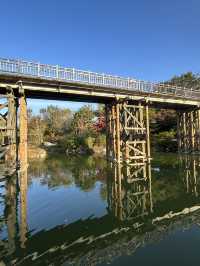 🌍🚢 DMZ Adventure: Exploring History by Land & River