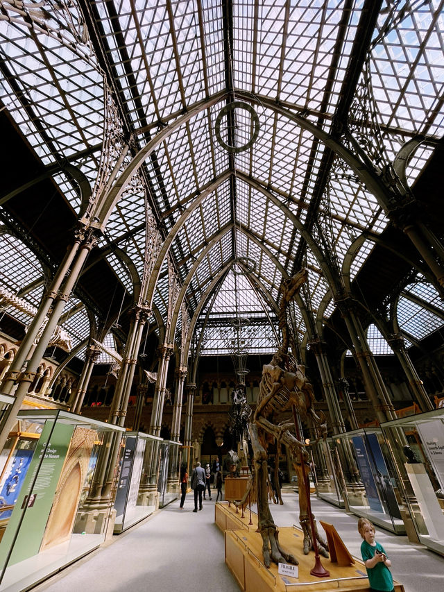London Day Trip to Pitts Rivers Museum