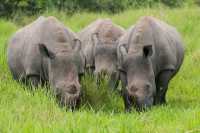 WHAT TO EXPECT WHEN YOU VISIT UGANDA