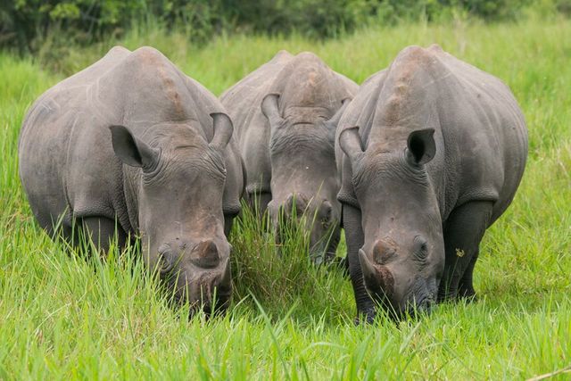 WHAT TO EXPECT WHEN YOU VISIT UGANDA