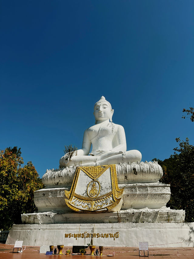 パイに行くべき5つの理由🇹🇭✈️🌎