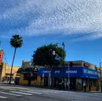 Stroll Among the Stars: The Walk of Fame in LA! ⭐️🎬