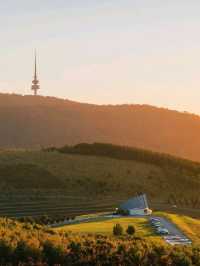 🌿 Discover Canberra: Nature, Adventure & Culture Await! 🎈