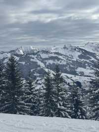Woke up with the Alps and ended the day above the clouds! 