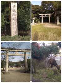 Ogami Shrine with the divine body of Miwayama