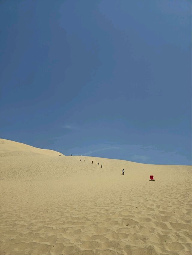 해외여행 페루 이카의 모래사막 Desierto De Ica