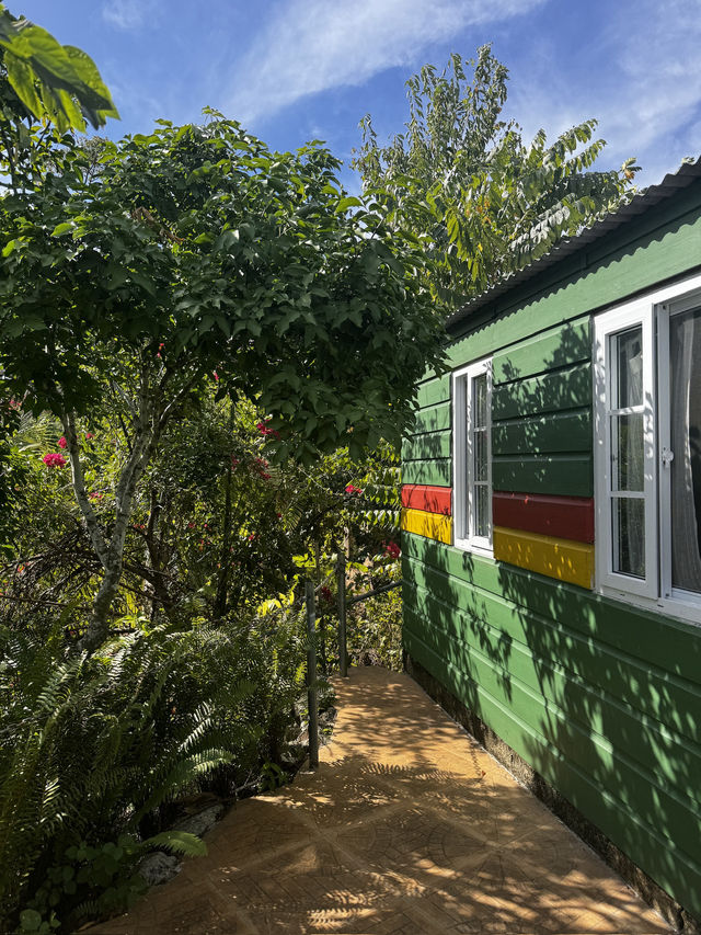 Guide to Negril, Jamaica & Rick's Café 🇯🇲