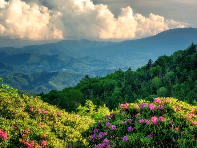 Appalachian Trail: The United States famous hiking trail!