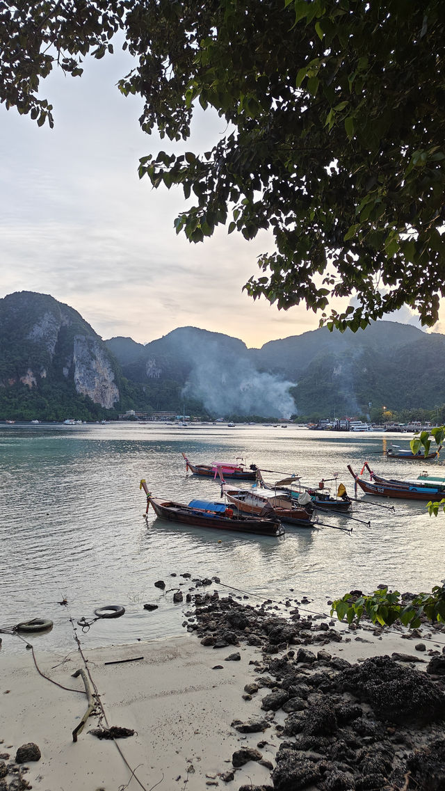 Island or Mountains? How to Choose Your Thailand Adventure 🇹🇭🏝️⛰️