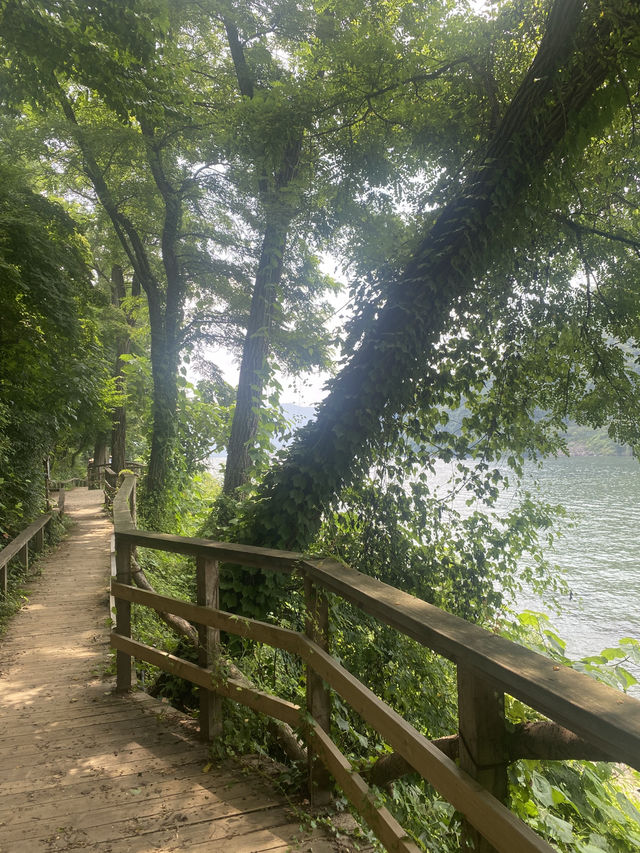 ☀️ Summer days on Nami Island 🏞️