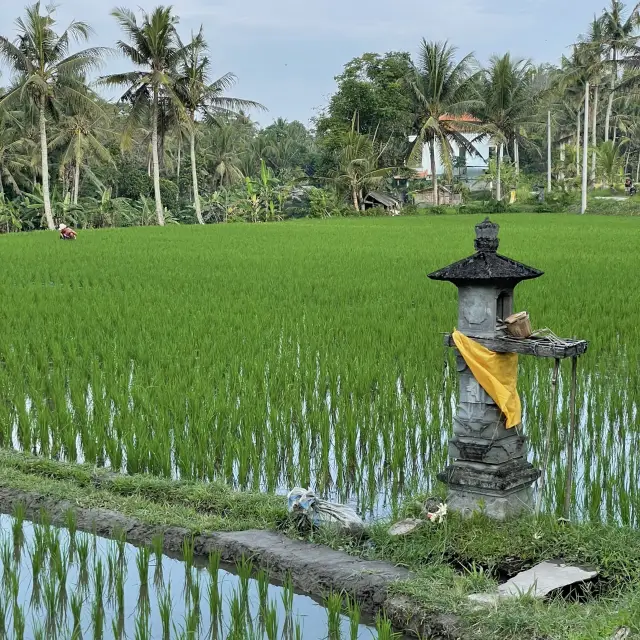 峇里島遺願清單：眾神之島必做之事