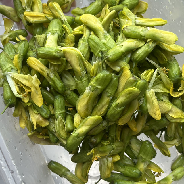 Kunming: A Floral and Culinary Paradise Where Spring Never Ends
