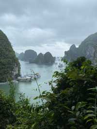 🇻🇳 Hạ Long Bay, Vietnam – A Natural Wonder Worth Every Moment 🌅🚤