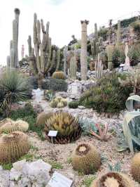 Eze | The nice botanical garden near Nice 