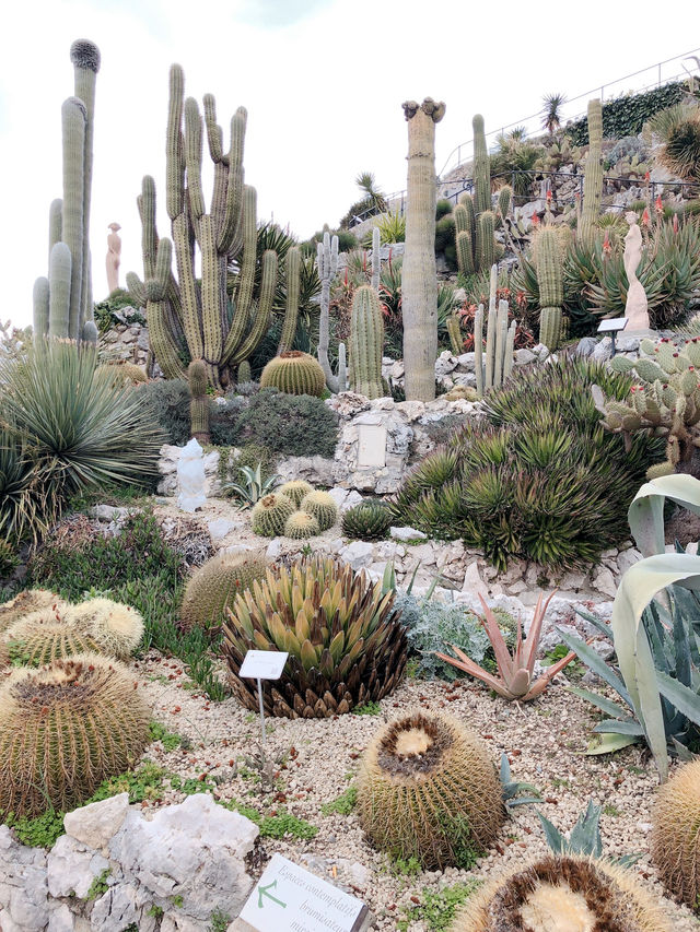 Eze | The nice botanical garden near Nice 