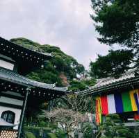 Escape Tokyo: Kamakura in a Day