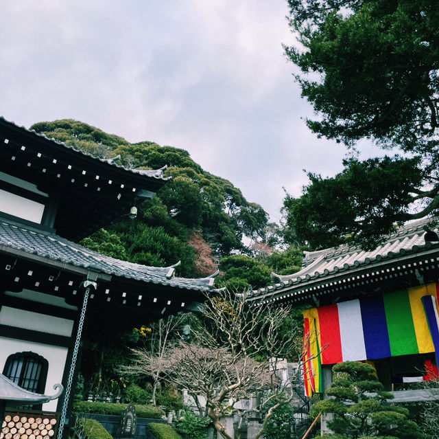 Escape Tokyo: Kamakura in a Day