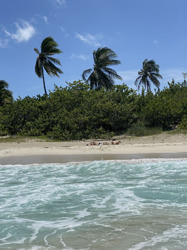 Cuba Review: Tropical Bliss Unfolds in Varadero!