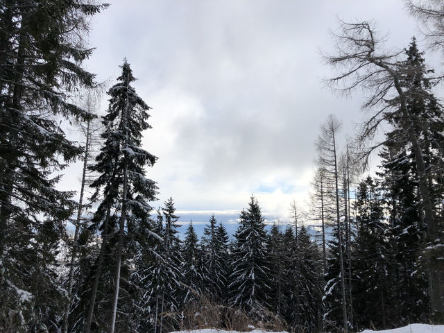 ❄️ Winter Tatras: Snowy Adventure in Slovakia