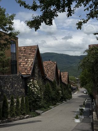 Nature in Dilijan🌲
