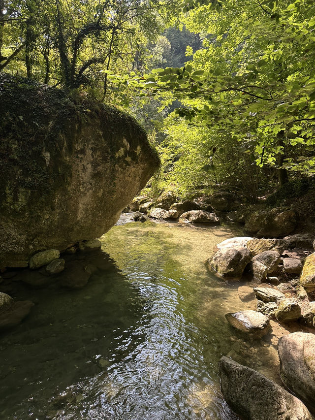 Cuves Nature Escape🌲