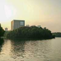 West Part of Swan Lake, Hefei 🌇🌊