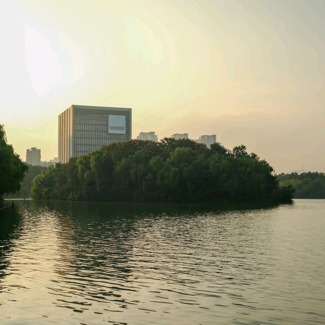 West Part of Swan Lake, Hefei 🌇🌊