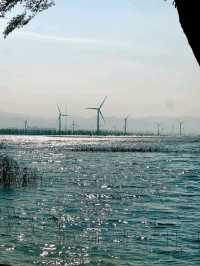 Autumn Light and Wind at Yanqi Lake 🌾💨