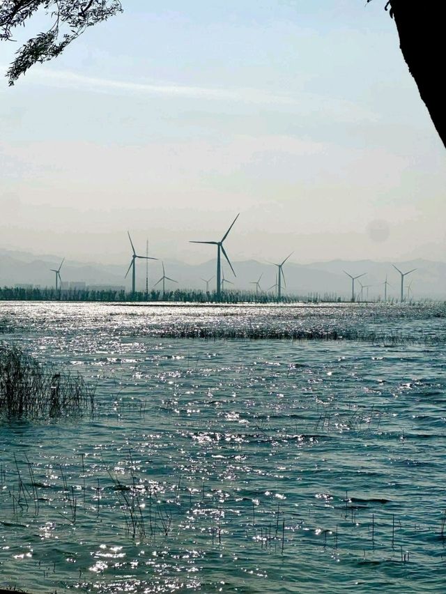 Autumn Light and Wind at Yanqi Lake 🌾💨