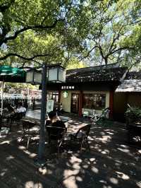 Hangzhou in One Day: What I Wish I Knew Before Going