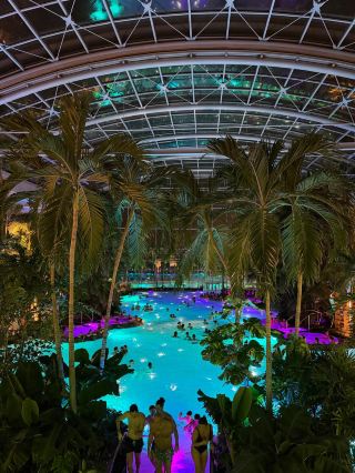 ☀️ นอกเมืองบูคาเรสต์เล็กน้อย ฉันได้หนีไปพักผ่อนที่ Therme Bucuresti ใน Balotesti เพื่อฟื้นฟูสุขภาพอย่างเต็มที่! สถานที่แห่งนี้เต็มไปด้วยบรรยากาศแบบเขตร้อน—ลองนึกภาพต้นปาล์มเขียวชอุ่ม สระน้ำที่เปล่งประกาย และหน้าต่างบานใหญ่ที่เปิดรับแสงแดดอย่างเต็มที่ โดยเฉพาะอย่างยิ่งในช่วงบ่ายแก่ๆ ที่แสงอาทิตย์ส่องกระทบผิวน้ำอย่างพอดี 🌴✨ น้ำอุ่นสบาย เหมาะอย่างยิ่งไม่ว่าคุณจะมาพักผ่อนคนเดียวหรือมาสปากับเพื่อนๆ

❤️Therme Bucuresti เปิดให้บริการตลอดทั้งปี (Calea Bucureşti 1K, 077015, Romania) และเปิดให้บริการนานขึ้นในวันหยุดสุดสัปดาห์เพื่อให้คุณได้แช่น้ำนานขึ้น เคล็ดลับ: ไปเที่ยวในวันธรรมดาเพื่อคนน้อยลงและได้ความสงบอย่างเต็มที่! อย่าลืมรองเท้าแตะและขวดน้ำแบบใช้ซ้ำได้—มันช่วยชีวิตได้มากที่นี่ โซนสปาต่างๆ และแสงไฟเพื่อสุขภาพหลากสีสันทำให้ที่นี่เป็นสวรรค์ของช่างภาพ โดยเฉพาะอย่างยิ่งในช่วงเวลาแสงสีทอง

🔅การเดินทางไปที่นั่นง่ายมาก เพียงขับรถหรือใช้บริการรถร่วมโดยสารไปทางเหนือของบูคาเรสต์ไม่ไกลนัก หากคุณหิว แวะทานอาหารเบาๆ ที่ร้านอาหารภายในที่พัก (ลองบาร์สมูทตี้เพื่อเพิ่มพลังงานดูสิ!) พกเงินสดไปบ้างสำหรับค่าเช่าล็อกเกอร์และของใช้เพิ่มเติม และอย่าลืมพกชุดว่ายน้ำไปด้วยเพื่อจะได้เพลิดเพลินกับทุกสิ่งที่มีที่นี่อย่างเต็มที่

#ThermeBucuresti #Balotesti #RomaniaTravel #WellnessEscape #SpaDay
