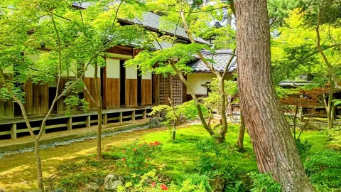 니가타 현립 오가타 물과 숲 공원이란. — traveler post in 조에쓰 시