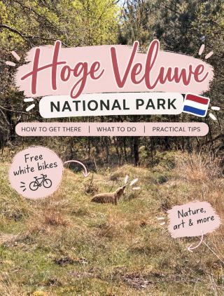 🚲 Visiting Hoge Veluwe National Park 🇳🇱