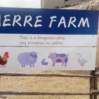 Relaxing Farm in the City 🏙  Herre Farm 😊