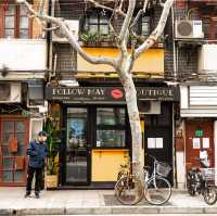 Anfu Road-One of the most beautiful roads in Shanghai 