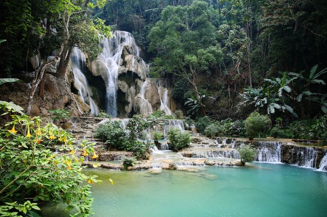 The place where "Spring" and "The Birth of Venus" can be filmed.