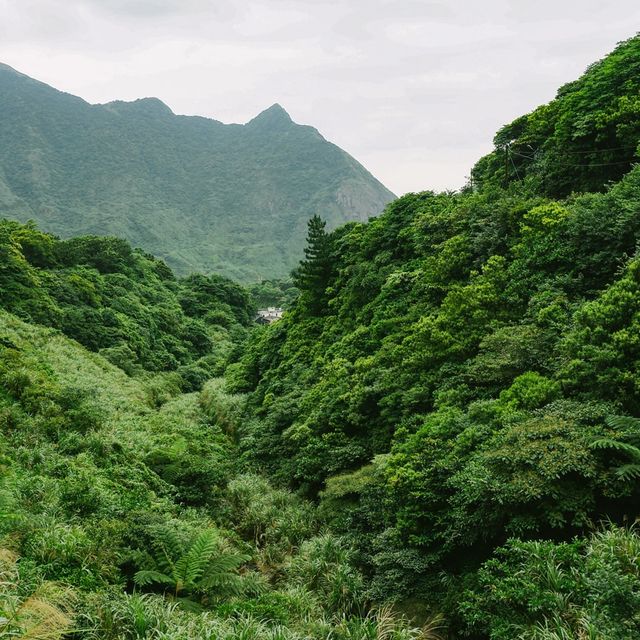 打卡新北黃金博物館