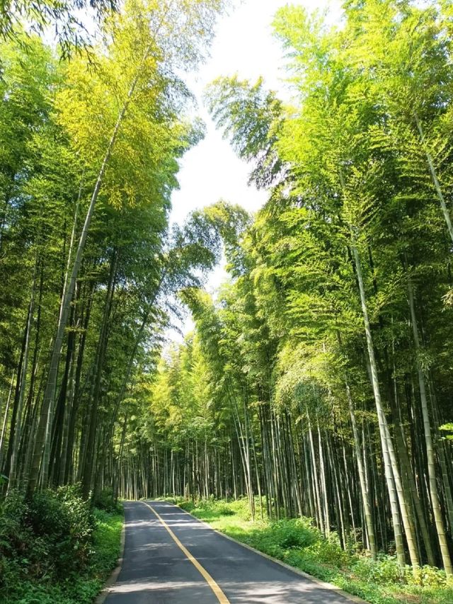 ☀️☀️Tianmu Lake, Jiangsu🔆🔆