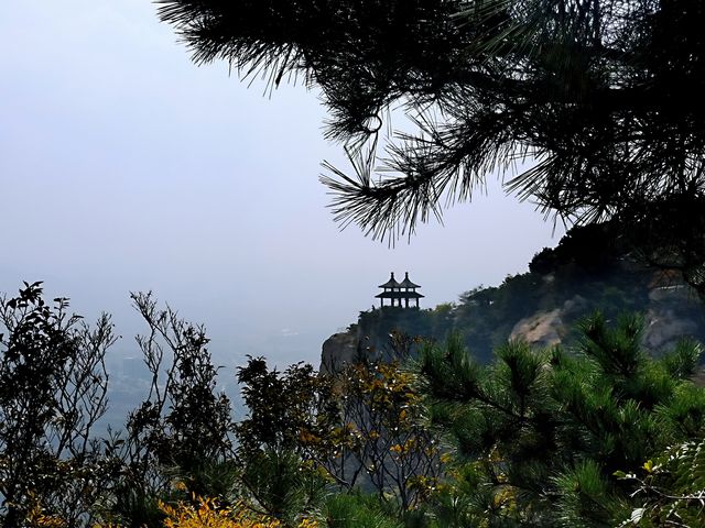 羅山，你的美內斂，聰穎