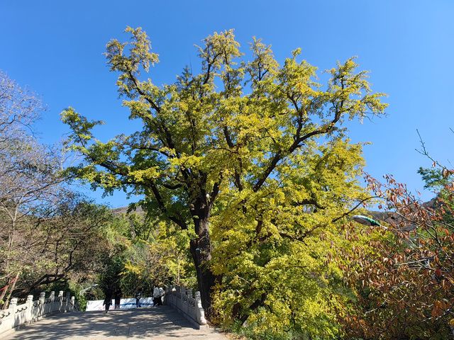 爬花果山，登江蘇第一高峰