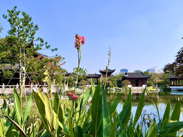 上海本地人都不知道的申園 上海本地人都不知道的申園