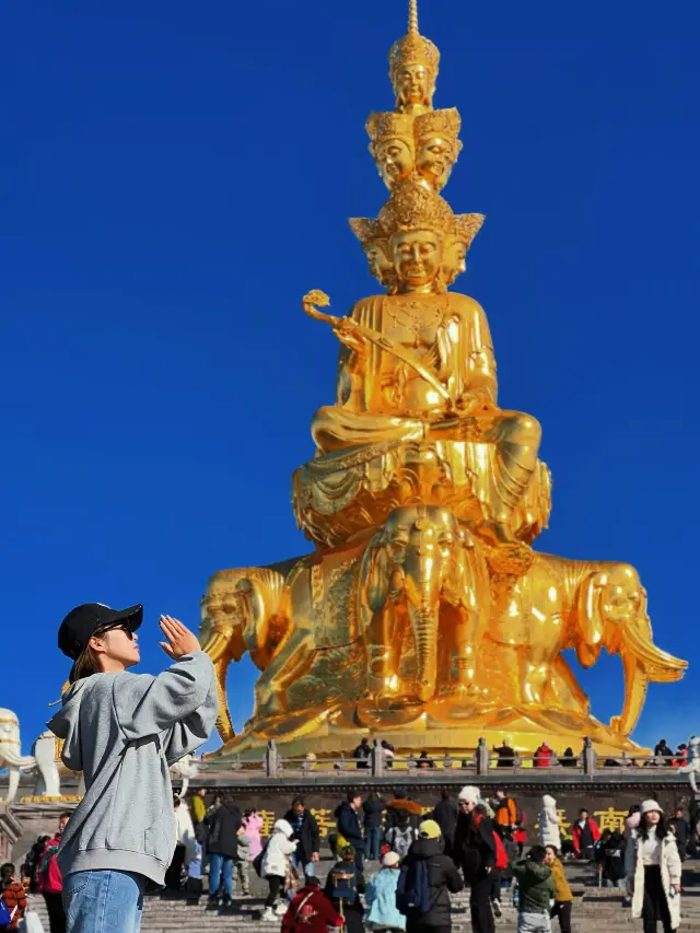 峨眉山の天空は晴れていて、猿は雨に濡れています