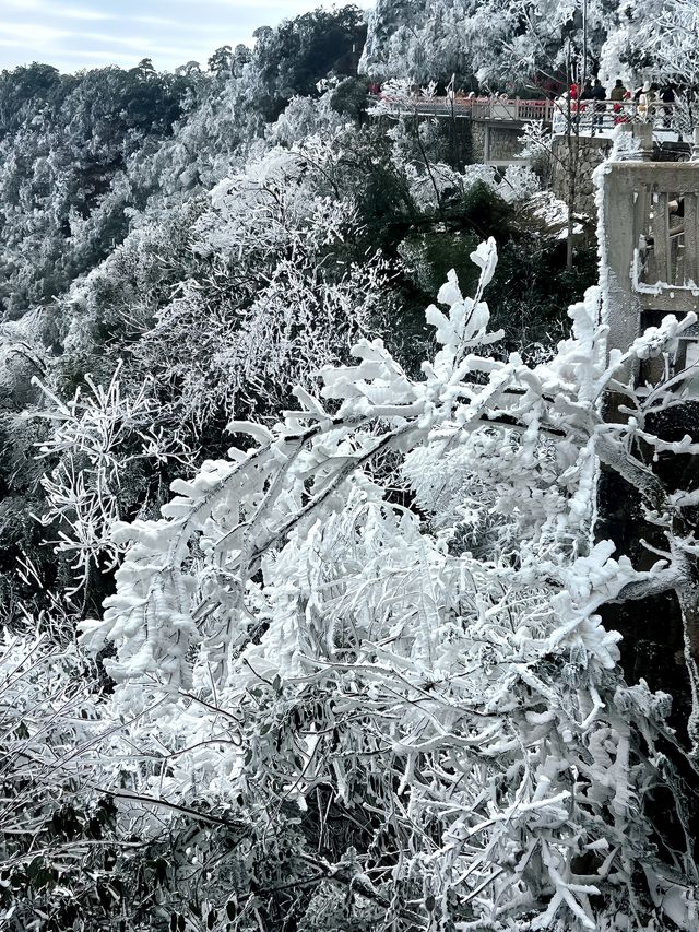 莽山霧凇真的有一種誤入仙境的美！