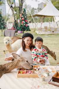 廈門海滄萌寵營地解鎖溫馨親子時光
