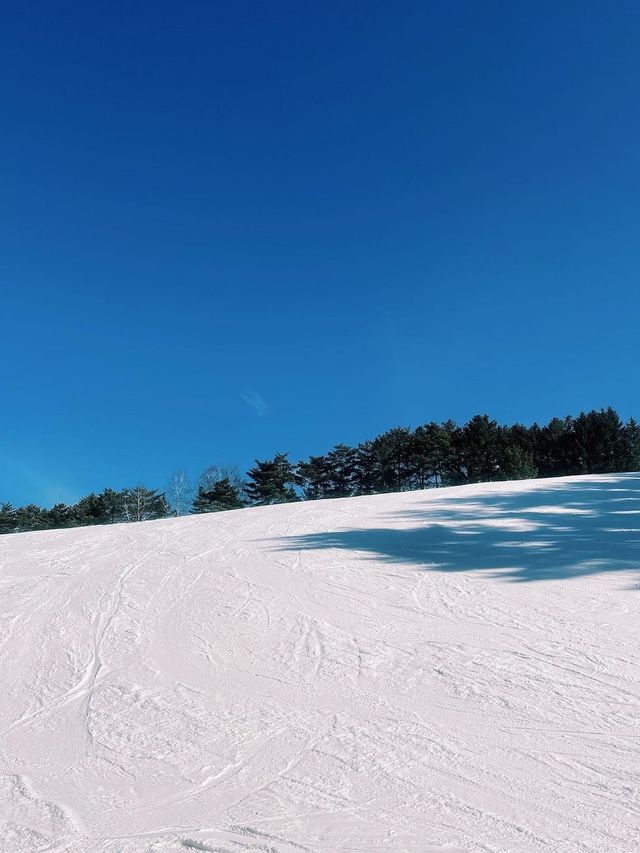 韓國滑雪推薦——龍平度假村