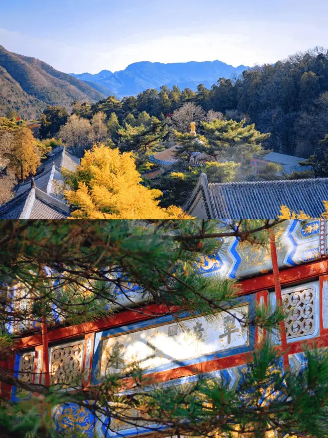 There is a dragon pond behind the temple and a zhe tree on the mountain, so it has always been called 'Tan Zhe Temple' by the locals