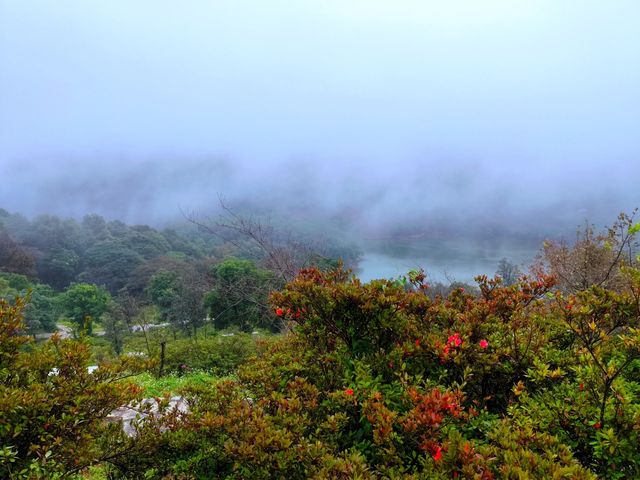 石門國家森林公園美景圖